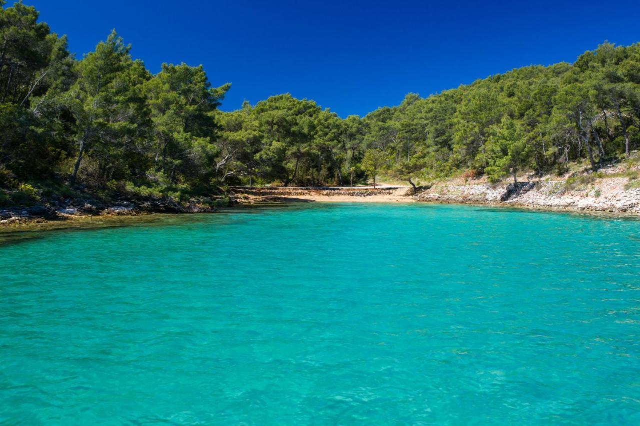 Dobronic Jelsa (Hvar)