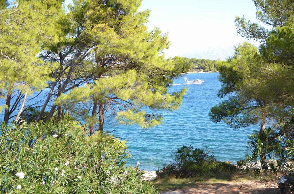 Dobronic * Jelsa (Hvar)